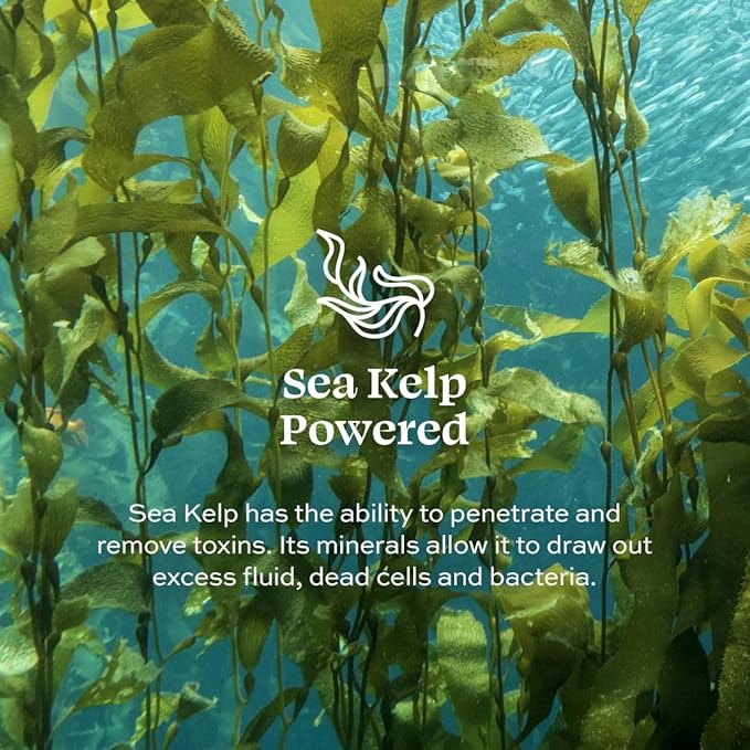 Aleavia Grapefruit Lemongrass Prebiotic Body Lotion – Lightly Scented, All-Natural Moisturizing Body Lotion with Organic Essential Oils – 12 Oz-GlimoraGlow