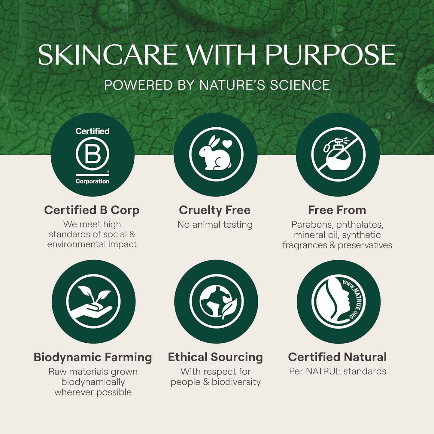 Weleda Skin Food Face Care Nourishing Night Cream, 1.3 Fluid Ounce, Plant Rich Moisturizer with Sacha Inchi Oil, Cica and Squalane-GlimoraGlow