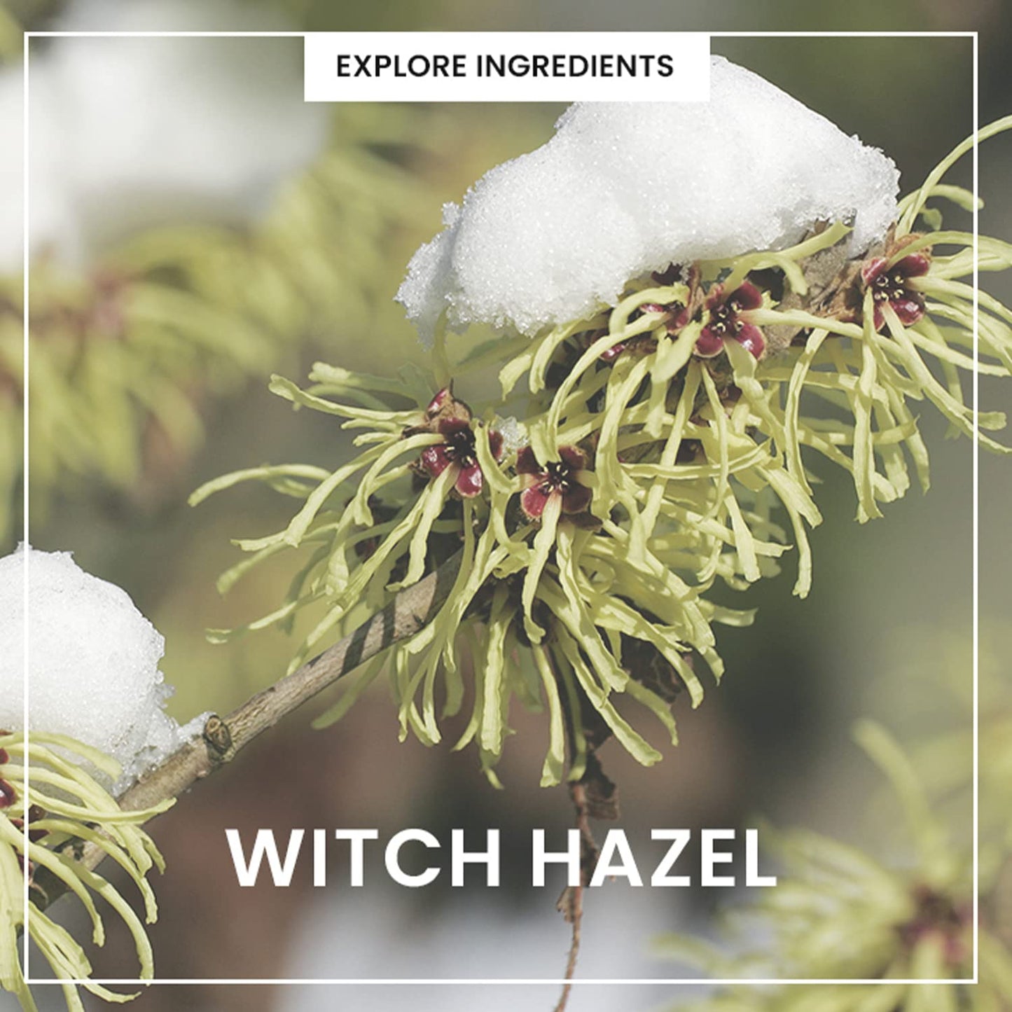 HEIMISH All Clean Green Foam Moisturizing Face Cleanser, Hydrating Gentle Gel Cleanser, Daily Face Wash for Sensitive Skin with Amino Acid, P.H 5.5, for Double Cleansing, Korean Skincare, 5.3oz/150g-GlimoraGlow