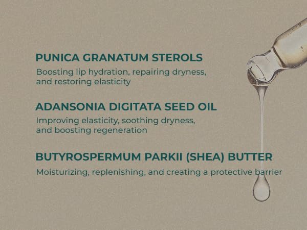 INNA Organic Lip Serum, Moisturizing, Fine Line Care & 100% Vegan, EWG & COSMOS Certified | Frankincense Essential Oils Infused Skin Care | Luxury Clean Beauty-GlimoraGlow