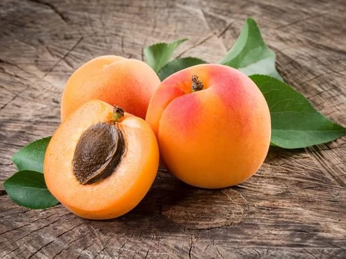 Apricot Kernel Oil - 100% Pure, Organic, Cold Pressed, Unrefined, Raw - Bitter Scent, Therapetutic Premium Grade A Kernal - Perfect for Massage, Skin, Hair & Body Care 16 OZ Quart Bulk-GlimoraGlow