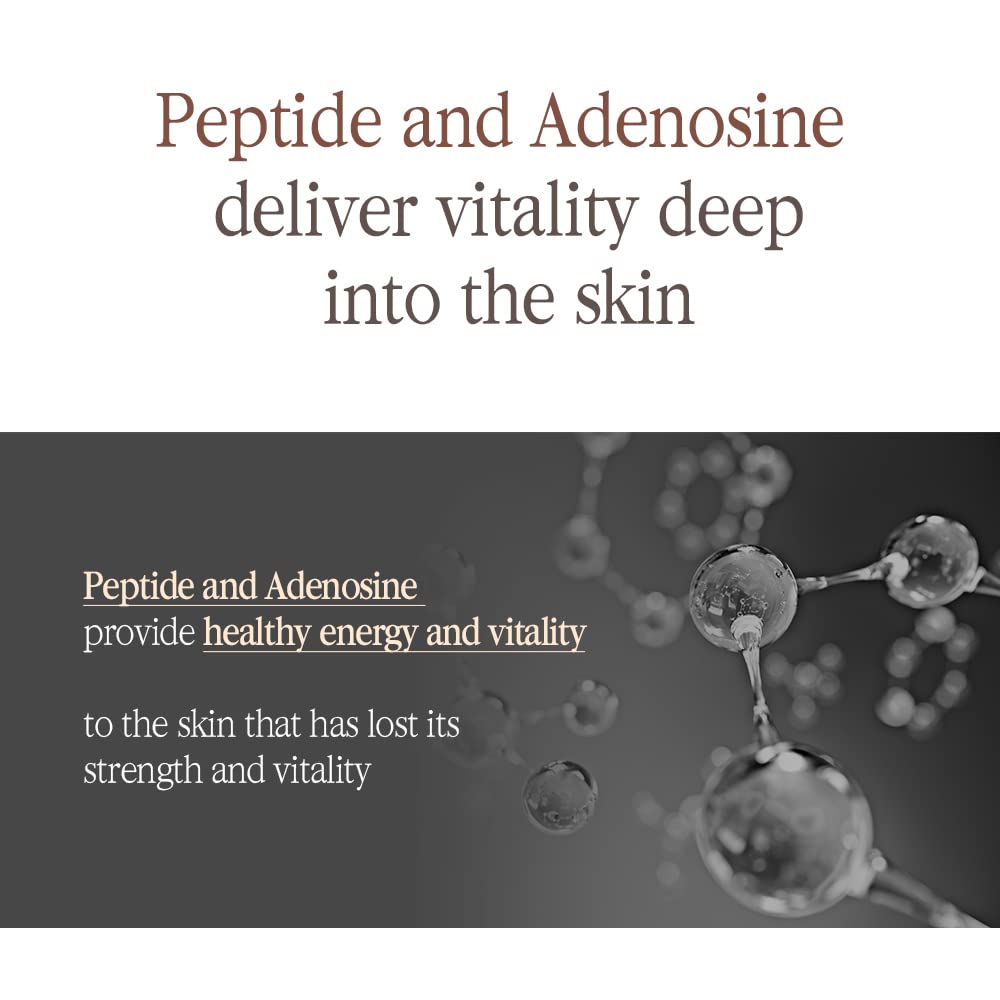 Pyunkang Yul PKY Black Tea Boosting Serum for Anti-aging, Condensed Nutrition for Fine Line Care with Kombucha, Ginseng Fruit Extract, Zero-Irritation, Korean Skincare (1.52 Fl. Oz, 45ml)-GlimoraGlow