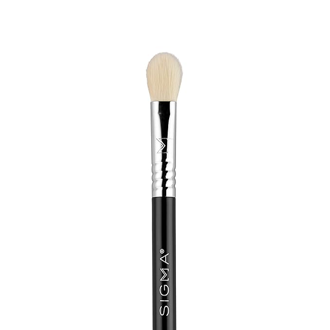 Sigma Beauty Travel Essential Trio - Makeup Brush Set for Foundation Powder Eyeshadow - 3 Tool Brushes with Brush Tin Holder - Skin Safe, Vegan Makeup Brushes for Travel - Black-GlimoraGlow