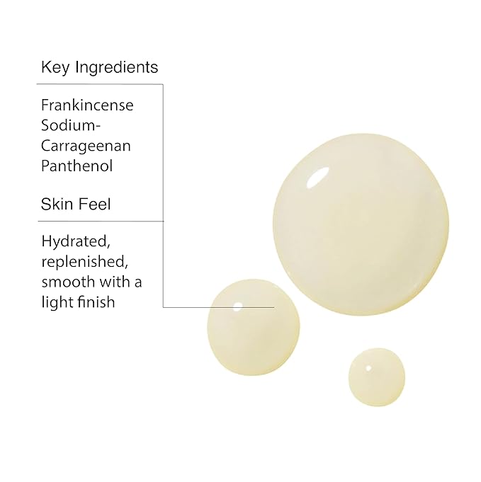 Aesop Geranium Leaf Body Cleanser + Scrub | 16.9 oz + 6.2 oz-GlimoraGlow