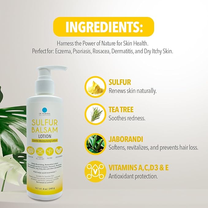 Dr. Robaina Sulfur Balsam Lotion – Lightweight Moisturizer for Dry, Flaky & Itchy Skin – Calms Redness, Supports Skin Barrier & Locks Hydration – Shea Butter & Tea Tree – 8 fl oz, USA Made-GlimoraGlow