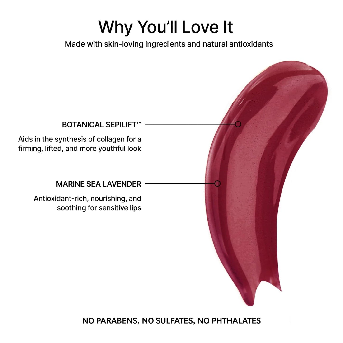 Jillian Dempsey Lip Gloss: Enhance, Hydrate & Smooth Lips with Firming & Plumping Benefits, Vegan, 4ml | Lavish Berry-GlimoraGlow