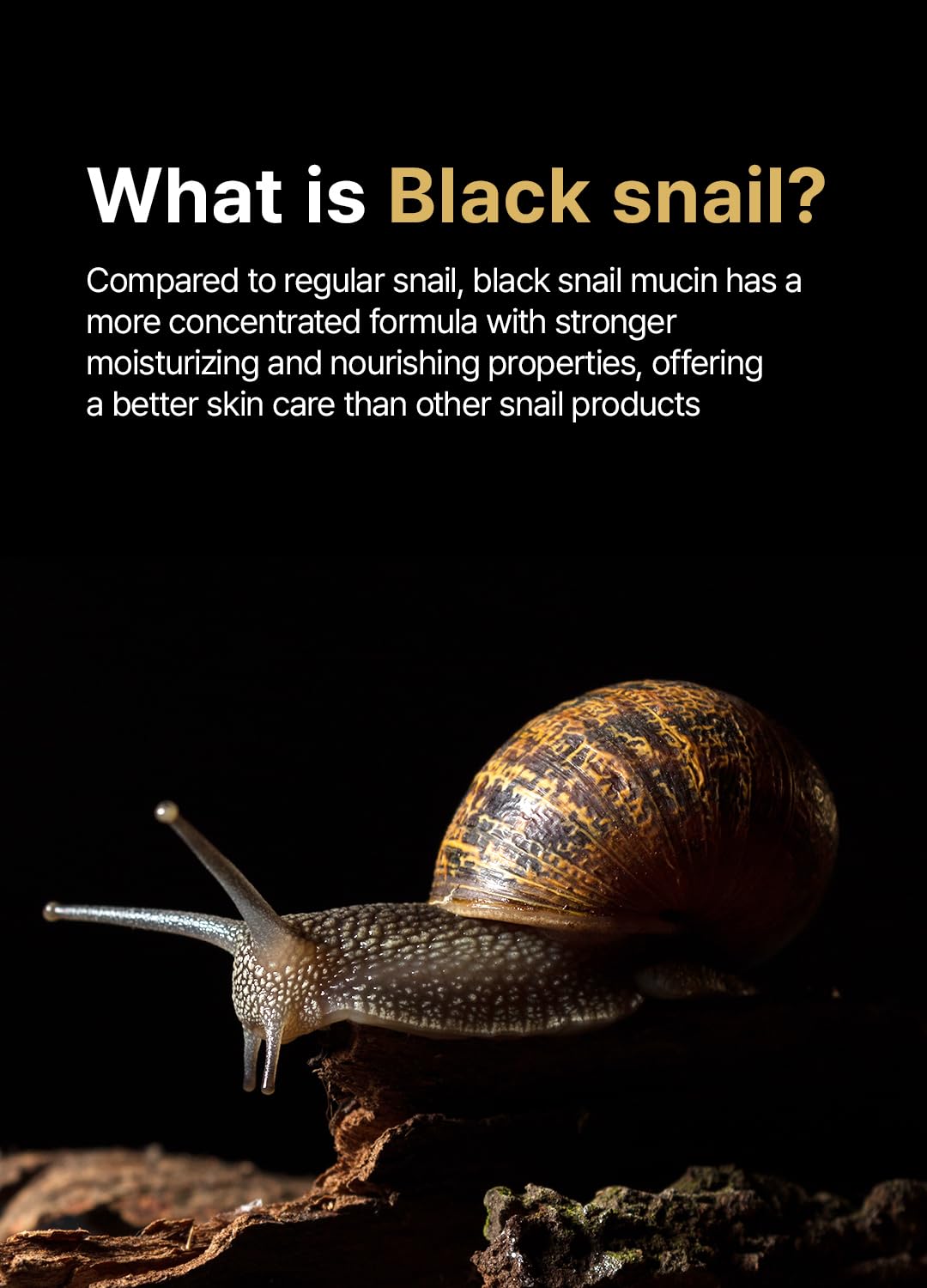 Farmstay Black Snail & Peptide 9 Perfect Facial & Neck Roller Serum – Firming & Lifting, Deep Hydration & Skin Elasticity, Snail Mucin & 9 Peptides for Youthful Glow & Smooth Skin, 100ml-GlimoraGlow