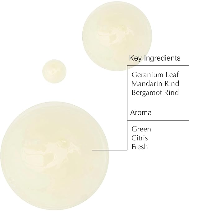 Aesop Geranium Leaf Body Cleanser | For All Skin Types To Cleanse Without Drying Out | Geranium Leaf, Mandarin Rind, Bergamot Rind | 16.9 oz / 500mL-GlimoraGlow