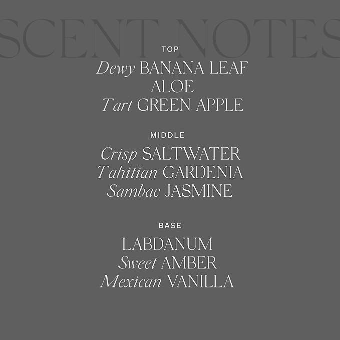 Antica Farmacista Body Moisturizer - Moisturizing Scented Lotion - Premium Body Moisturizer - Luxury Gift for Women & Men - Hand & Skin Hydration - Lush Palm, 10 Fl Oz-GlimoraGlow