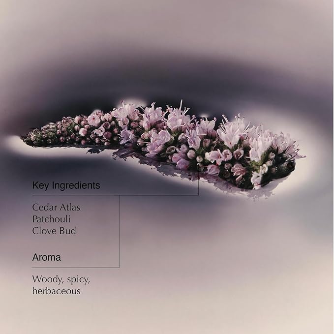 Aesop Eleos Nourishing Body Cleanser | Hydrating Ingredients For Refreshed, Soft Skin | Enriched With Emollients, Humectants, Purifying Botanicals | 500mL / 16.9oz-GlimoraGlow