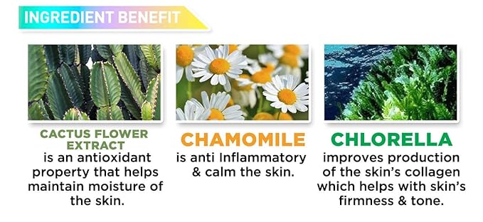 J.CAT BEAUTY Aquasurance Compact Foundation - Natural-GlimoraGlow