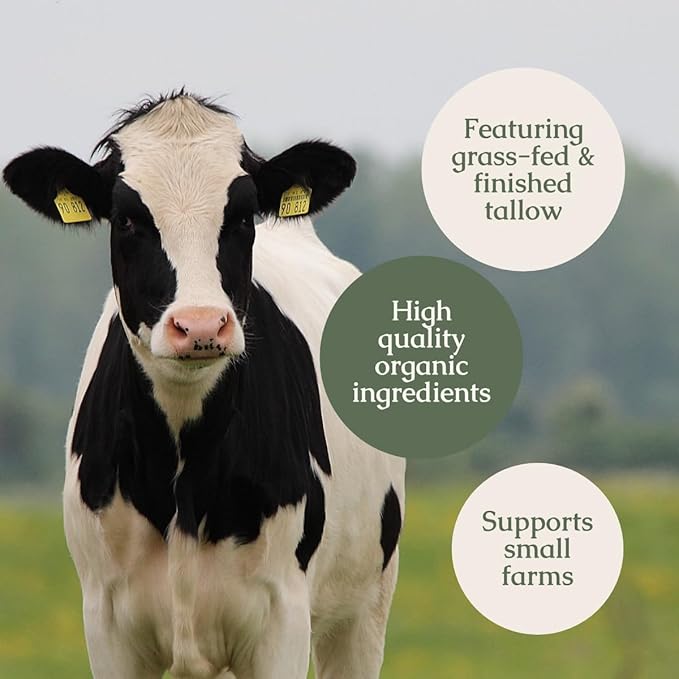 Handmade Whipped Tallow Balm (Vanilla Orange) - Organic Body Butter with Infused Olive Oil, for Eczema, Rosacea, Baby - 1.3 oz-GlimoraGlow