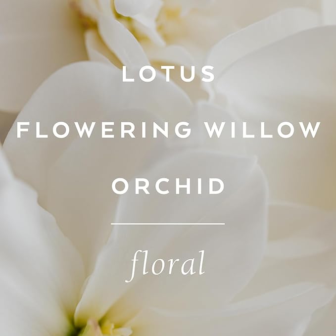 LOLLIA Imagine Body Butter, 5.5 oz. - Flowering Willow & Lotus Fragrance - Shea Butter & Cocoa Butter, Body Lotion for Women, Hydrating & Smooth Body Moisturizer-GlimoraGlow