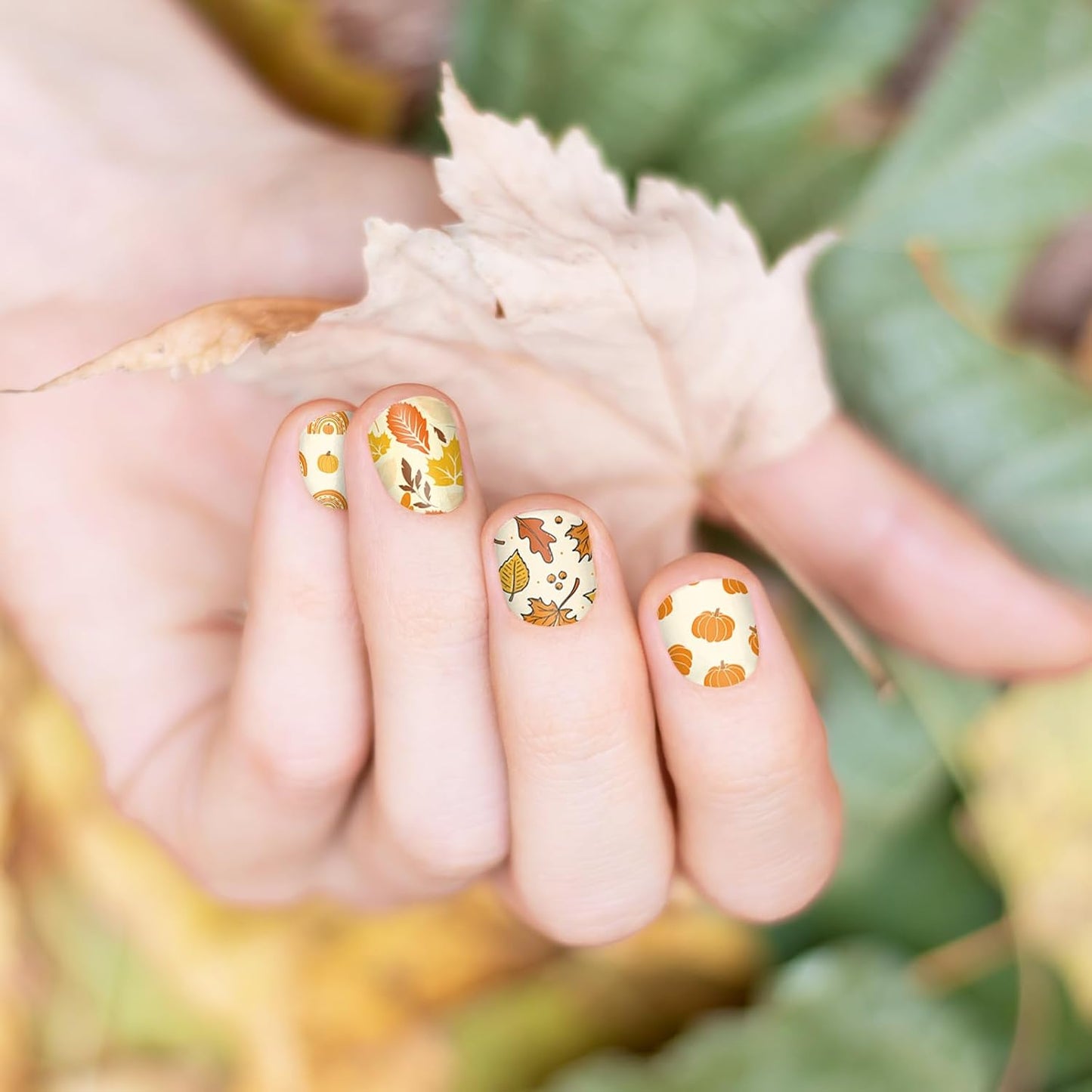 2 Sheet Fall Thanksgiving Nail Art Stamping Plate Kit Assorted Pumpkins Maple Leaves Autumn Blessing Collection Nail Art Plate for Holiday DIY Print Manicure Salon, 5.7 x 3.7inch-GlimoraGlow