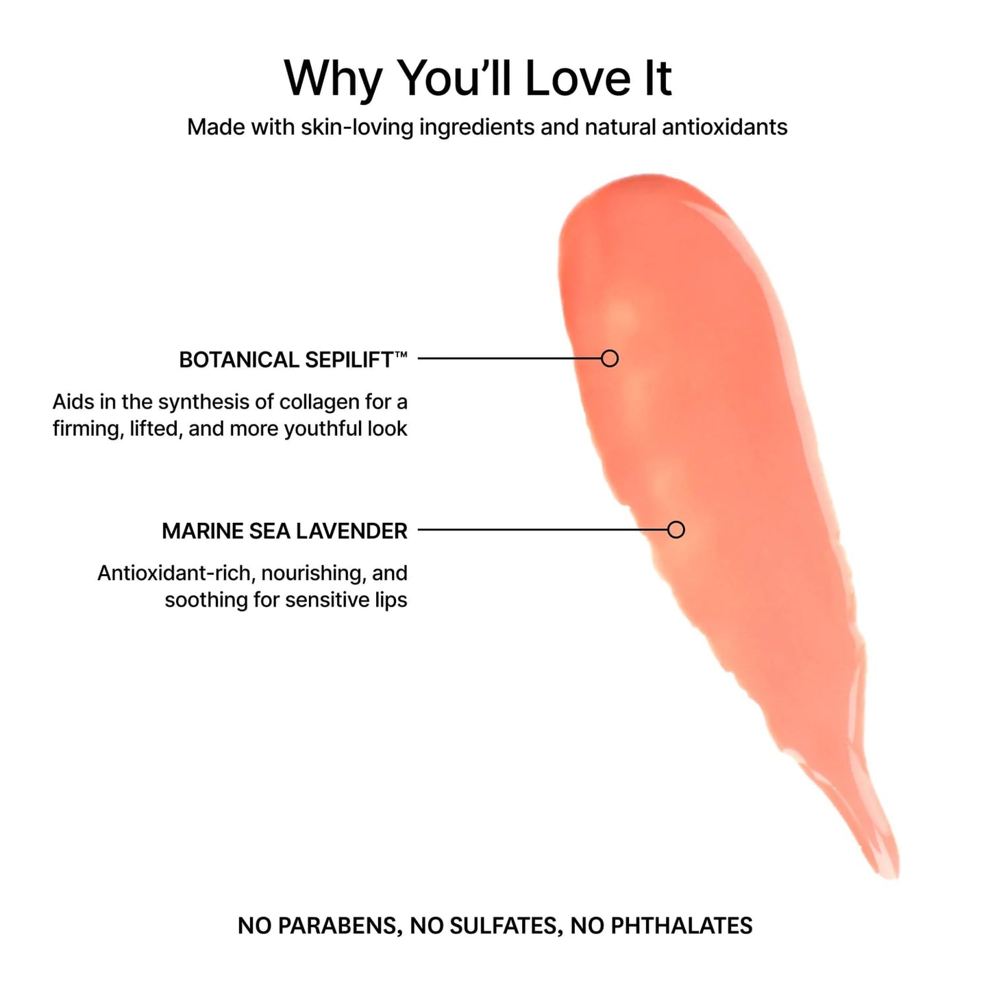 Jillian Dempsey Lip Gloss: Enhance, Hydrate & Smooth Lips with Firming & Plumping Benefits, Vegan, 4ml | Peachy Peach-GlimoraGlow