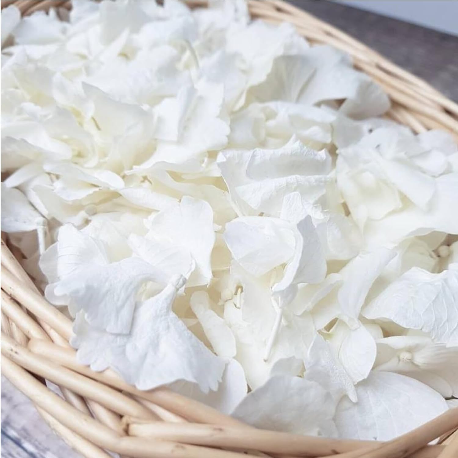 1500Pcs Real Dried Ivory White Hydrangea Flower Petals - Natural smal Petals for Wedding, Party Confetti, Romantic Night, Proposal Decor, Handcrafts (1.06 oz)