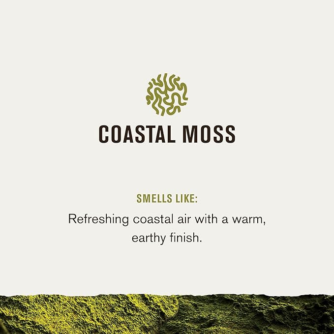 Every Man Jack Nourishing Coastal Moss Mens Body Wash for All Skin Types - Naturally Derived Ingredients - Cleanse and Hydrate Skin with Coconut and Glycerin - 24oz 2 Bottles-GlimoraGlow