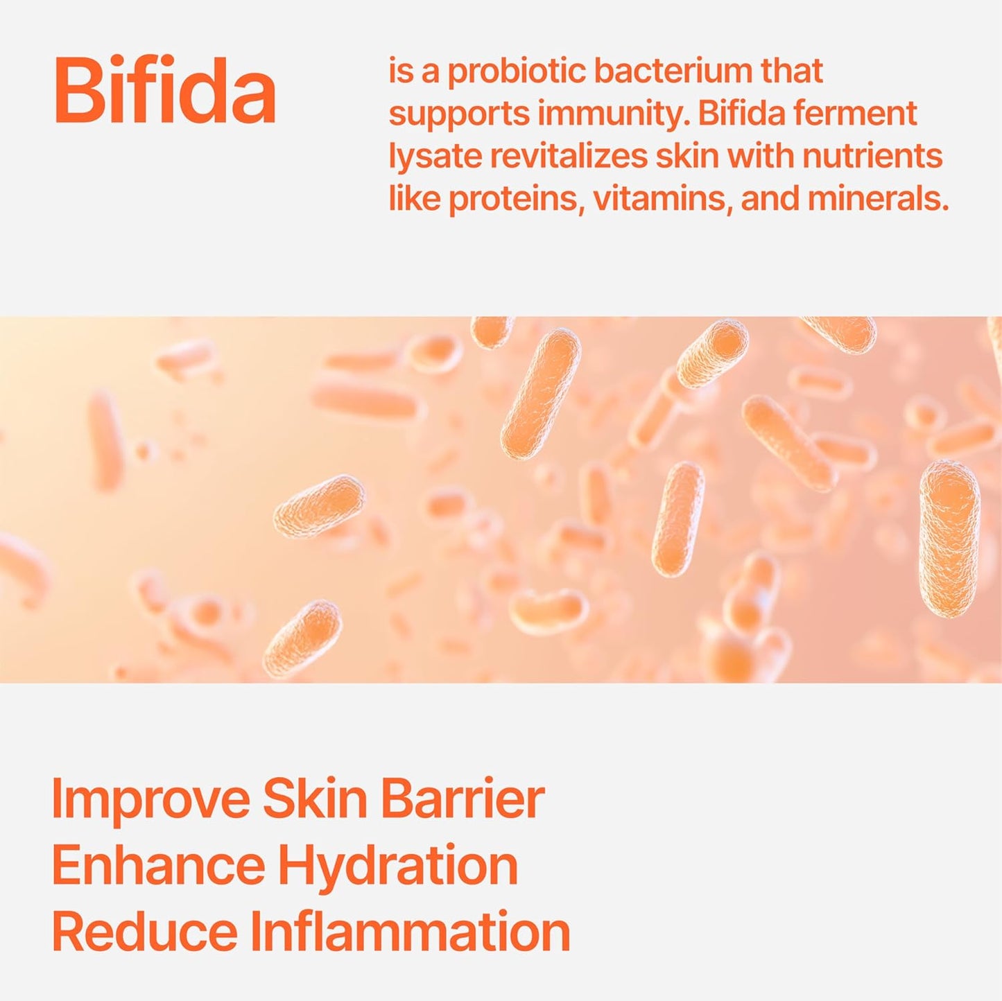 Bifida Barrier Ampoule, CUSKIN, Mild and Moisturizing Korean Skin Care Face Serum Ampoule with Ceramide NP and Hyaluronic Acid for Hydration and Skin Elasticity, 50ml (1.69 Fl. Oz.)-GlimoraGlow