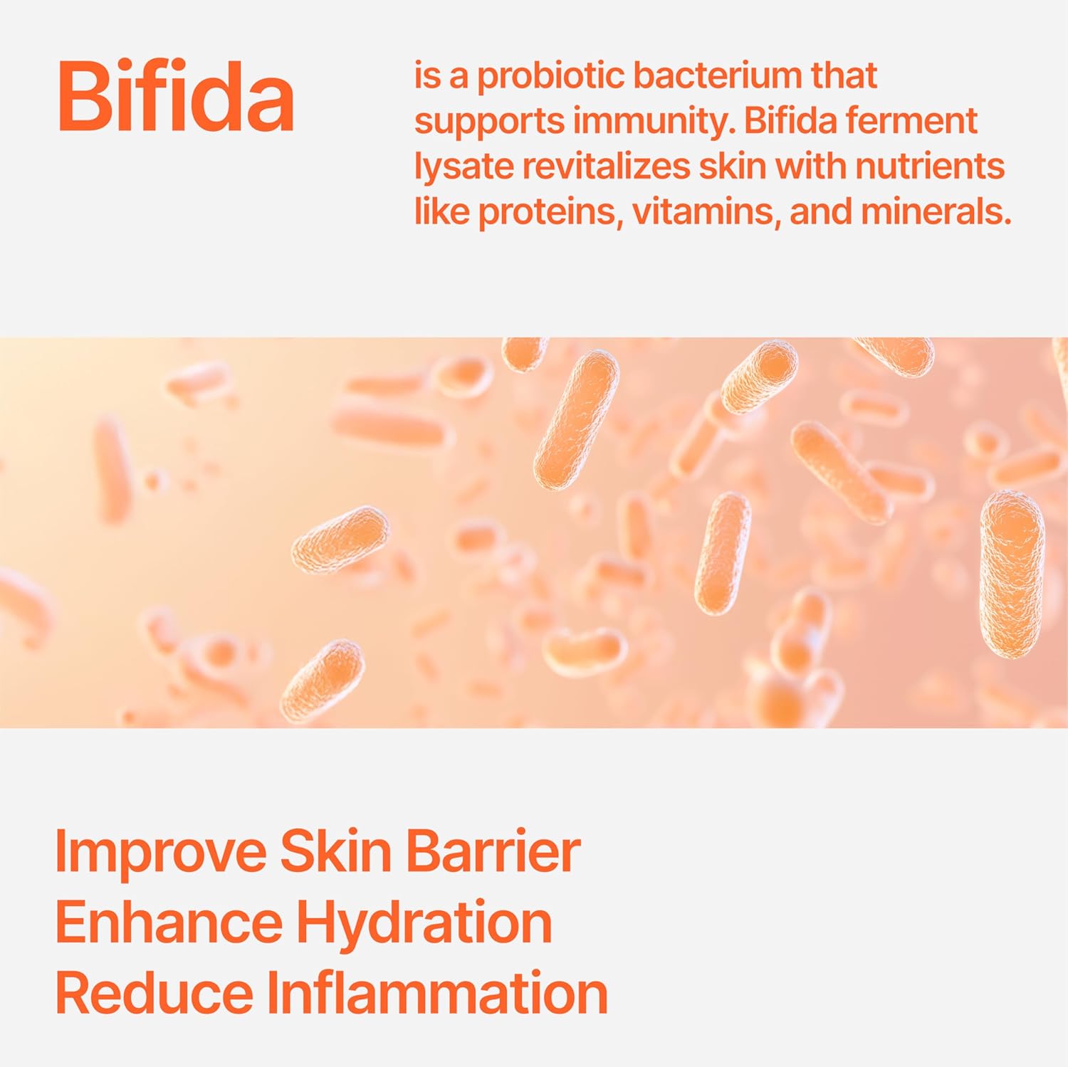 Bifida Barrier Ampoule, CUSKIN, Mild and Moisturizing Korean Skin Care Face Serum Ampoule with Ceramide NP and Hyaluronic Acid for Hydration and Skin Elasticity, 50ml (1.69 Fl. Oz.)-GlimoraGlow