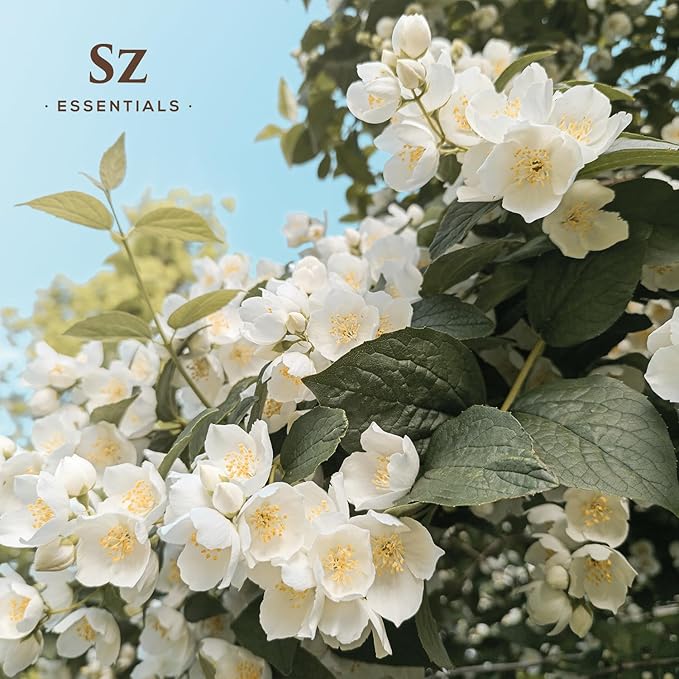 Jasmine Absolute Essential Oil – 100% Pure & Undiluted – 4 Jasminum Species – Divine Floral & Exotic Scent! – Aromatherapy & Natural Perfumery - Therapeutic Grade & Vegan – 0.17oz (5mL)-GlimoraGlow