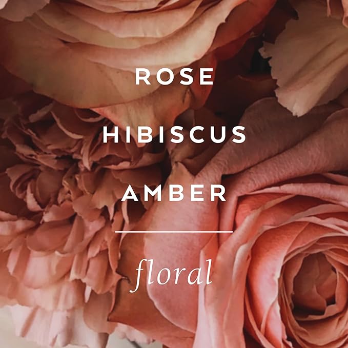 LOLLIA Always in Rose Body Butter, 5.5 oz. - Rose & Hibiscus Fragrance – Shea Butter & Cocoa Butter, Body Lotion for Women, Hydrating & Smooth Body Moisturizer-GlimoraGlow