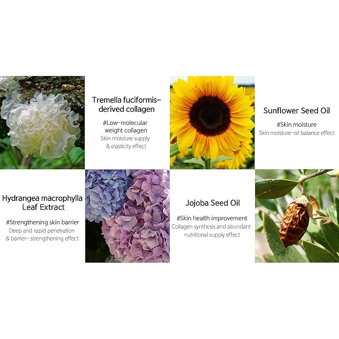 LALACHUU Glow Mist Serum – Hydrating & Soothing Face Mist Artemisia, Centella Asiatica, Evening Primrose, Korean Skin Care, Made in Korea, for Sensitive Skin (Intensive, 3.38 oz)-GlimoraGlow