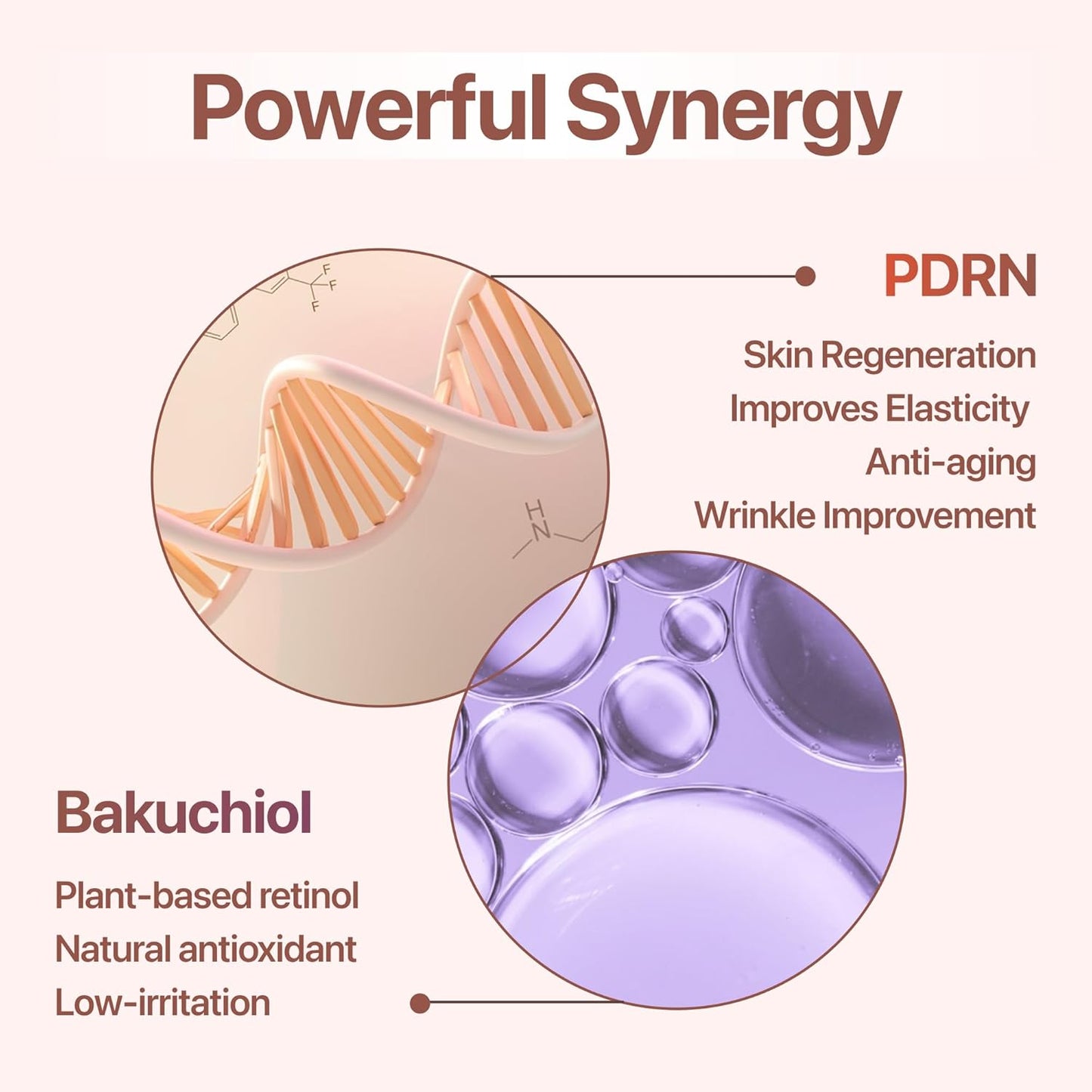 PDRN Cream with Salmon DNA, Ceramide NP, Collagen, Plant Based Bakuchiol, Moisturizing Bifida and Hyaluronic, CUSKIN, Korean Skin Care PDRN Cream, 50 ml (1.69 fl. oz.)-GlimoraGlow