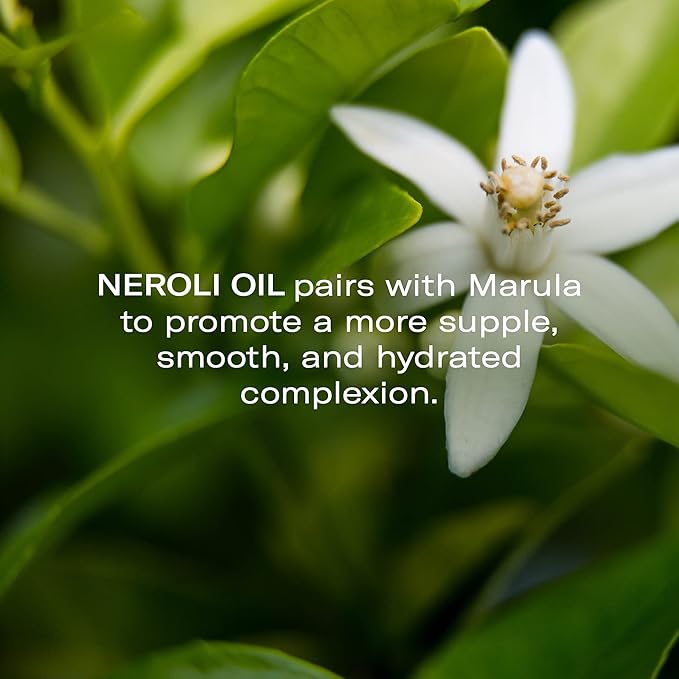 Odacité Anti Aging Serum Concentrate with Marula + Neroli, Elasticity Glow Recipe - Facial Oil for Hydration, Skin Texture & Visibly Smoother and More Supple Skin, 0.17 fl. oz-GlimoraGlow