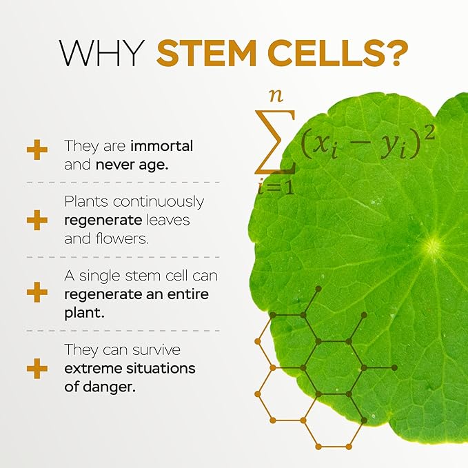 Moisturizing Eye Cream w/Aloe Vera, Collagen, Hyaluronic Acid, Cotton Stem Cells for Dark Circles, Puffiness & Bags - Under Eye Hydration Cream for Women & Men (1 Fl Oz)-GlimoraGlow