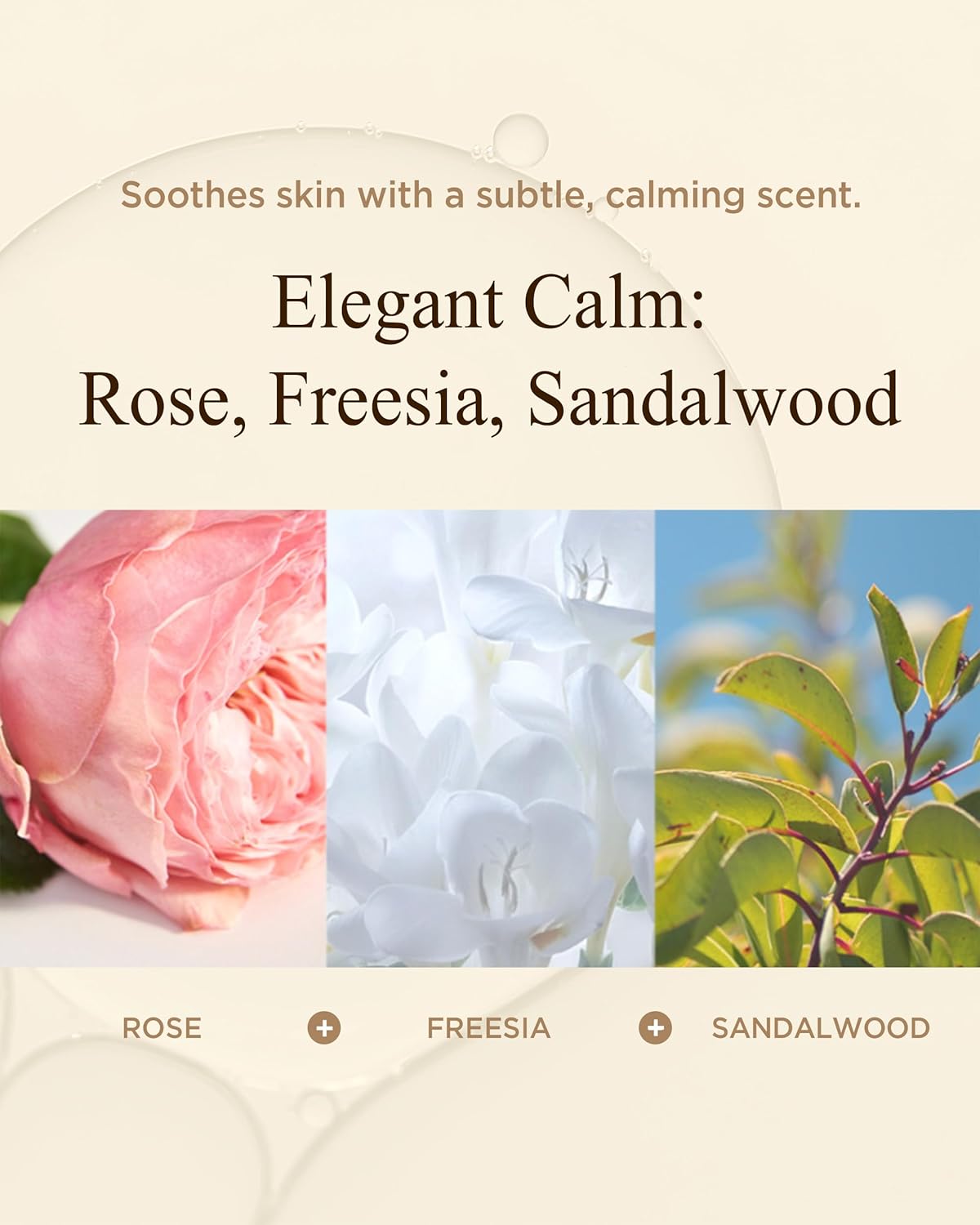 Bon Yeon Jin Korean Red Ginseng Face Emulsion Lotion for Dry Skin Deep Hydrating Anti-Aging Fiming with Ceramide, Hyaluronic Acid and Shea Butter for Women & Men 5.41 fl.oz.-GlimoraGlow