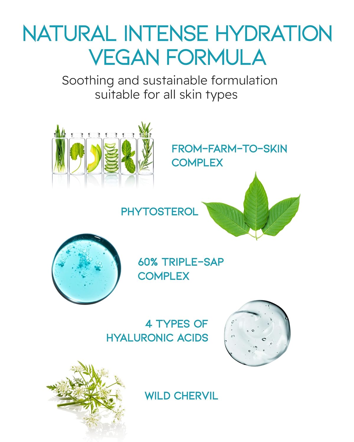 BEYOND Phyto Aqua Moisture Cream (Face Cream, 1.7fl oz) – Vegan Korean Skin Care for 100-Hour Hydration & Skin Barrier by LG Beauty-GlimoraGlow