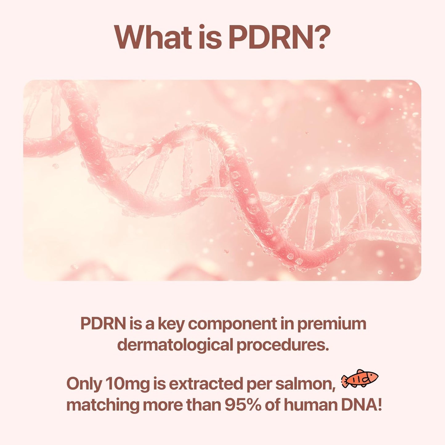 PDRN Cream with Salmon DNA, Ceramide NP, Collagen, Plant Based Bakuchiol, Moisturizing Bifida and Hyaluronic, CUSKIN, Korean Skin Care PDRN Cream, 50 ml (1.69 fl. oz.)-GlimoraGlow