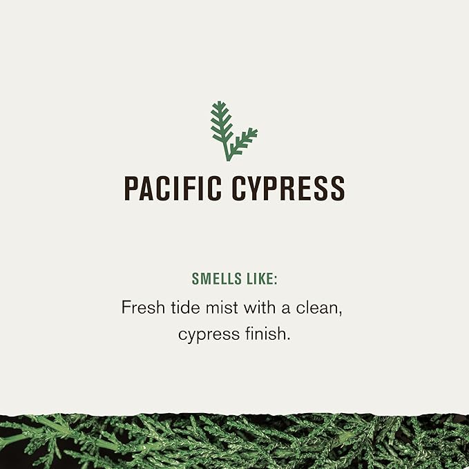 Every Man Jack Nourishing Pacific Cypress Mens Body Wash for All Skin Types - Naturally Derived Ingredients - Cleanse and Hydrate Skin with Coconut and Glycerin - 24oz 2 Bottles-GlimoraGlow