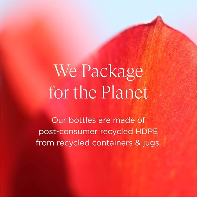 Intelligent Nutrients OneBody Hand Balm & Lip Delivery Nutrition Holiday Set - Help Soothe Dry Hands, Cuticles & Lips (2-Piece Set)-GlimoraGlow