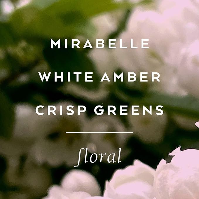 Lollia Elegance Body Butter, 5.5 oz. – White Amber & Mirabelle - Shea Butter & Cocoa Butter, Body Lotion for Women, Hydrating & Smooth Body Moisturizer-GlimoraGlow