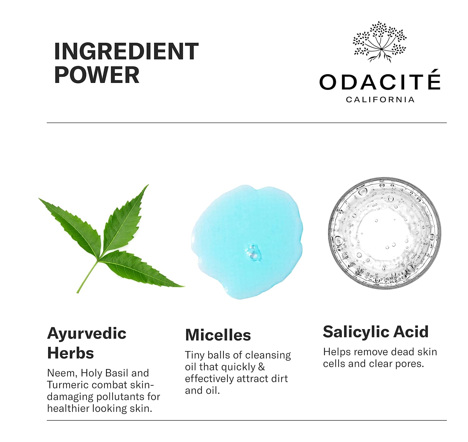 ODACITE Odacité Facial Cleanser with Foam - Blue Aura Cleansing Water Facial Wash with Neem, Holy Basil & Turmeric - No-Rinse Micellar Water Removes Pollution, Impurities & Makeup, 4.0 fl. Oz-GlimoraGlow