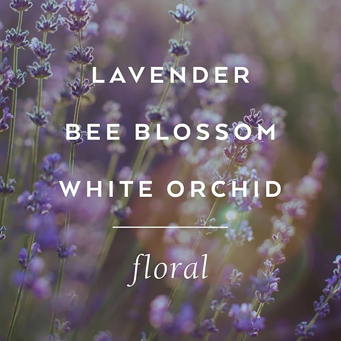 LOLLIA Relax Body Butter, 5.5 oz. - Lavender & Honey Fragrance - Shea Butter & Cocoa Butter, Body Lotion for Women, Hydrating & Smooth Body Moisturizer-GlimoraGlow