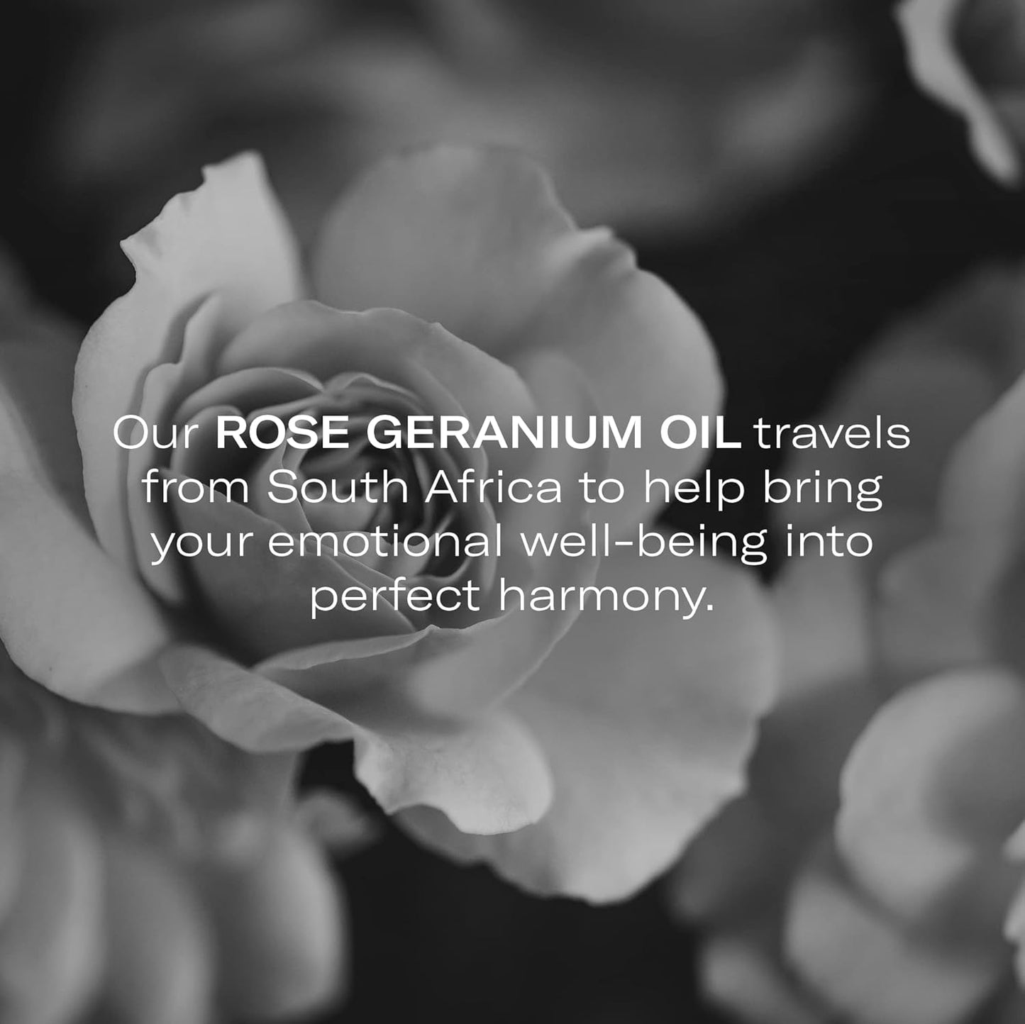 Odacité Hydrating Serum Concentrate with Pomegranate & Rose Geranium - for Hydration & Glow - Hydrating & Nourishing Anti-Aging Facial Oil Concentrate Enhance Skins Moisture Barrier - 0.17 fl. oz-GlimoraGlow