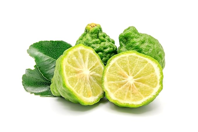 US Organic 100% Pure Bergamot Essential Oil, USDA Certified Organic, Cold Pressed, with Euro droppers (More Size Variations Available) (15 ml / .5 fl oz)-GlimoraGlow