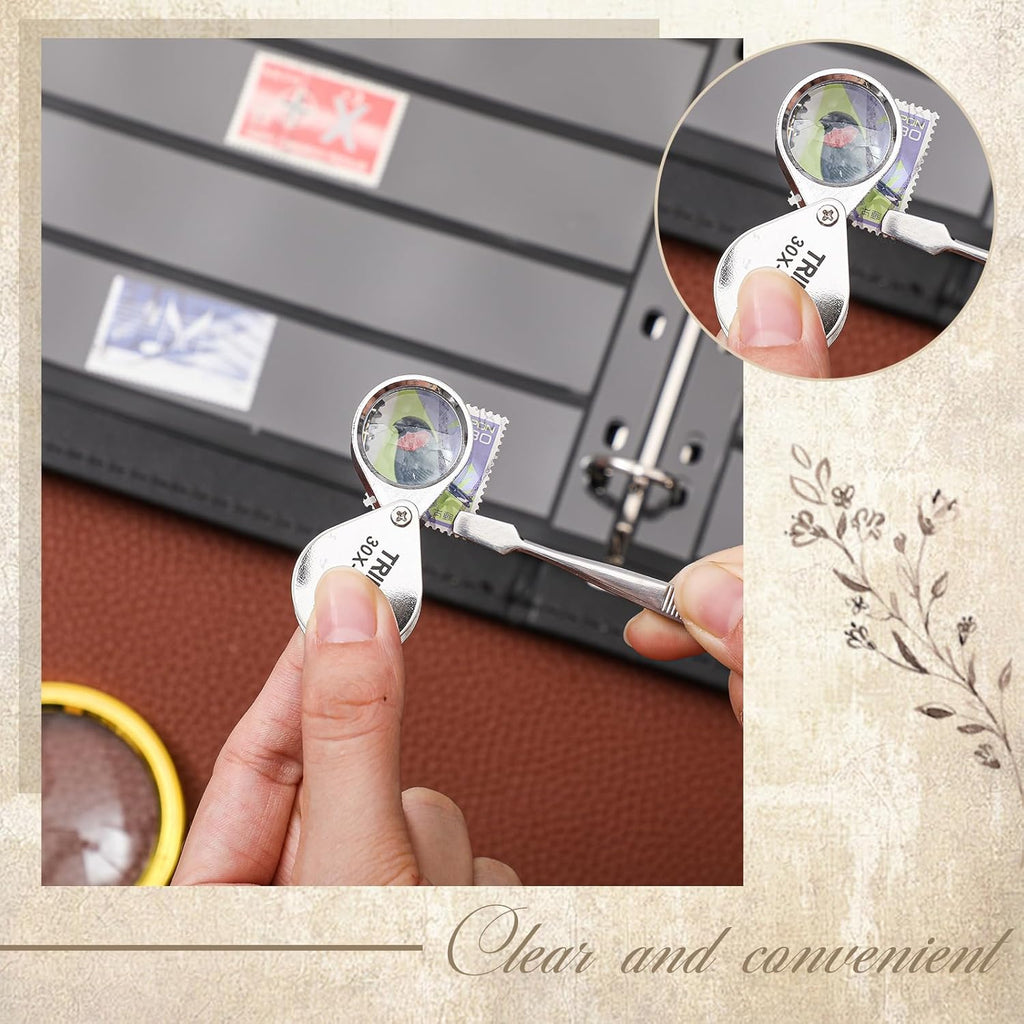 Lewtemi Stamp Collecting Albums Set Stamp Collection Book Include 20 Pages Album Binder Tweezer and Loop Magnifier Collecting Supplies for Collectors (Black,5/6/7/8 Rows)
