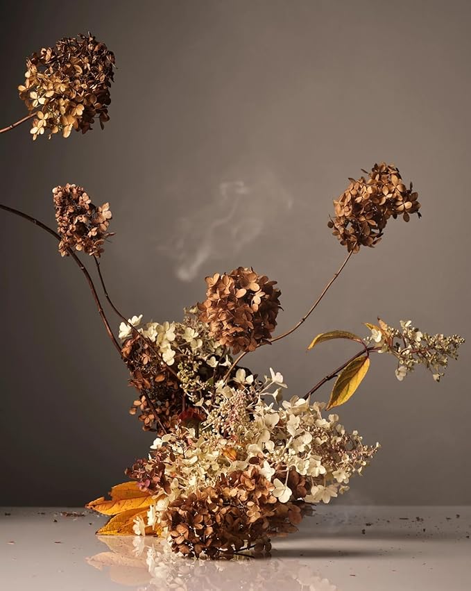 Homecourt Hand Wash, Gently Cleanses & Hydrates, Removes Dirt & Debris Without Irritating Skin, Clean Formula, Cece, 12 fl oz-GlimoraGlow