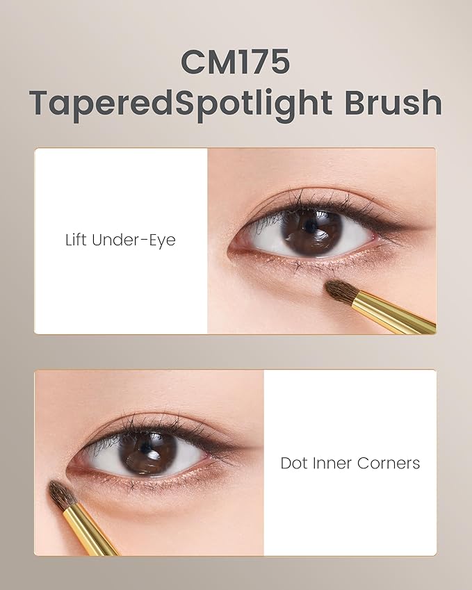 Desert Oak Series Tapered Spotlight Brush - Precision Pony Hair Brush for Inner Corner & Under-Eye Highlighting, Bubinga Handle & Gold Ferrule (CM 175)-GlimoraGlow