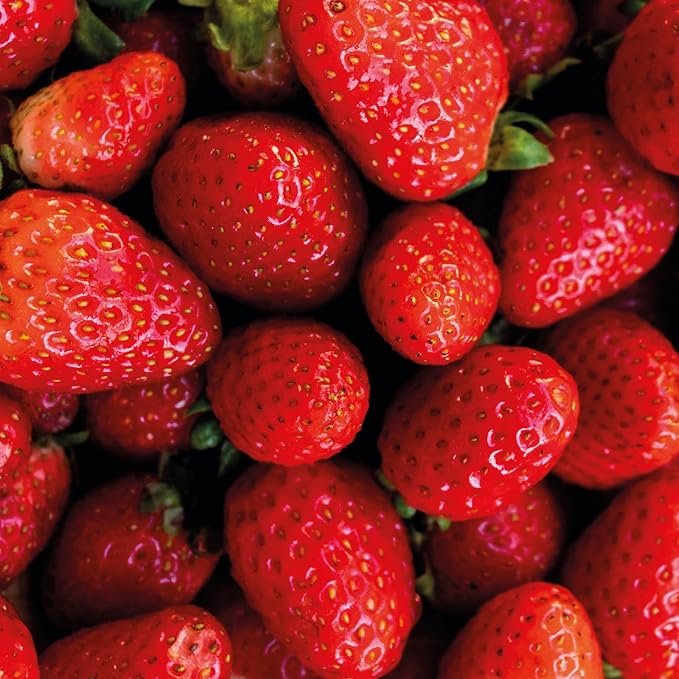 Nativa SPA by O Boticário, Ruby Strawberry Antioxidant Body Lotion, Brightening Vitamin C and Nourishment for Radiant Skin, 13.5 Ounce-GlimoraGlow