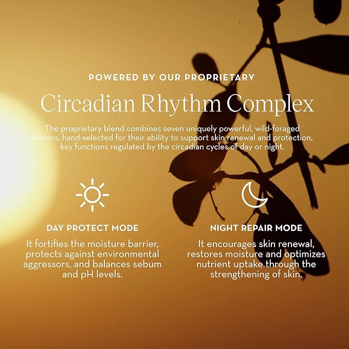 Furtuna Skin Daily Renewal Cream - Daily Moisturizer, Advanced Skin Hydration Technology, Radiance & Balance Enhancing, 95 Percent Natural-GlimoraGlow