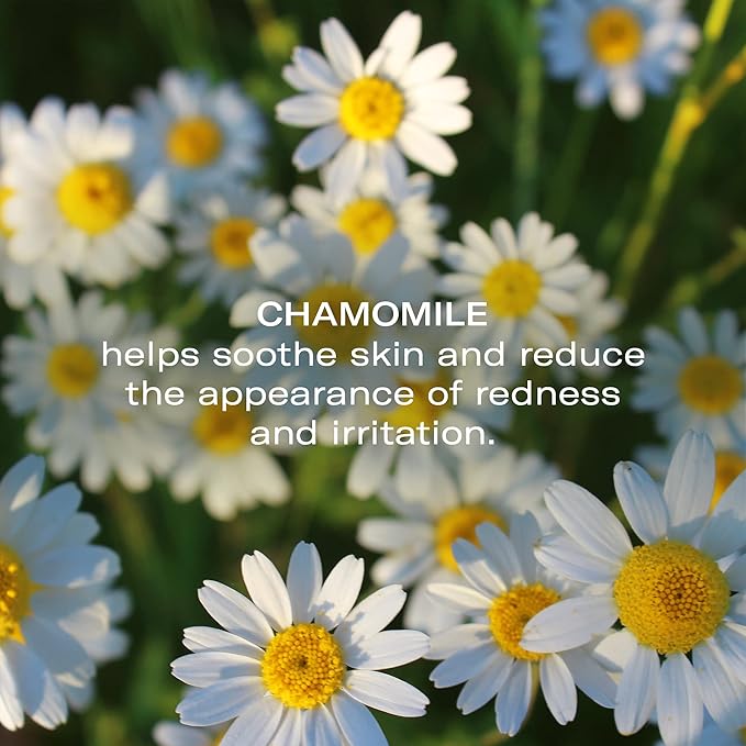 Odacité Anti Aging Serum Concentrate with Camelina + Chamomile, For Sensitive Skin Glow - Lightweight and Hydrating Facial Oil for Redness, Sensitivity & Irritation - 0.17 fl. oz-GlimoraGlow