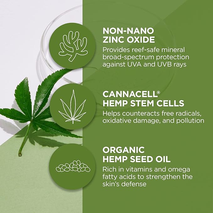 Andalou Naturals Face Sunscreen, CannaCell Sun Buddy SPF 30 with Hemp Stem Cells, Moisturizing Facial Lotion, Broad Spectrum Protection with Non-Nano Zinc Oxide, Reef Safe Sunscreen, 2.7 Fl Oz-GlimoraGlow