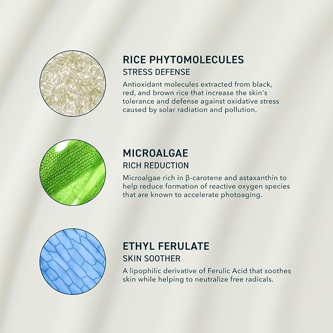 Skin Solar Shade - Moisturizing Face Sunscreen SPF 46 PA++++ Broad Spectrum UV Protection. Hydrating Sunblock for Dry Skin. Lightweight Travel Size Sun Protection, 1.7oz-GlimoraGlow