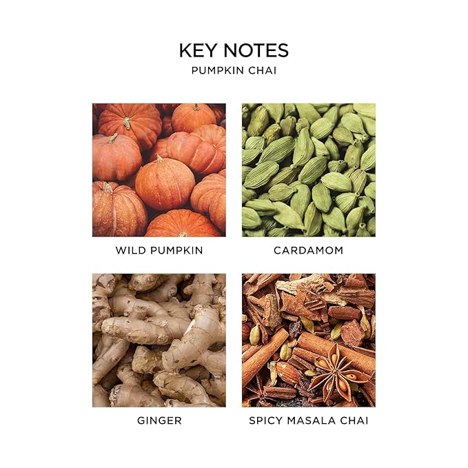 NEST New York Liquid Soap, Pumpkin Chai - 10 fl oz - Cleanses & Nourishes Skin - Approx. 300 Pumps Per Bottle - Gluten Free & Cruelty Free-GlimoraGlow