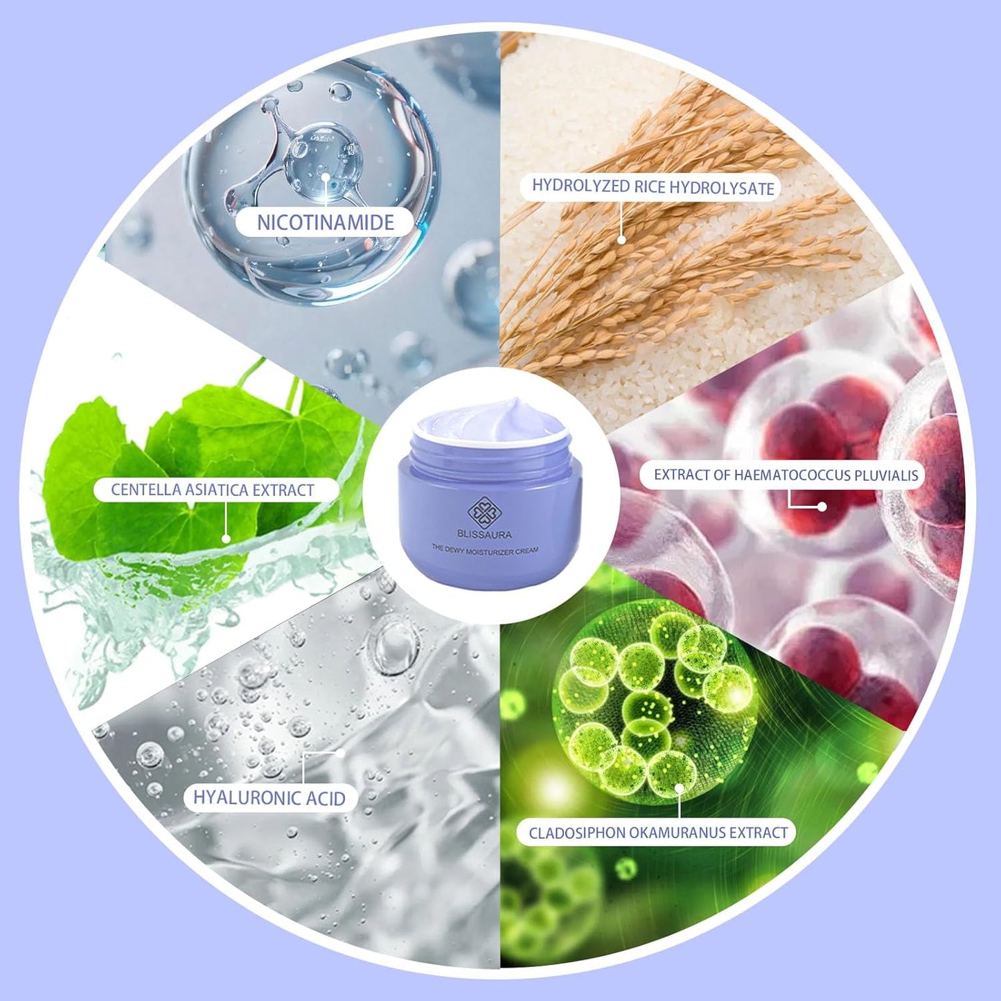 Dewy Skin Cream Moisture Surge Face Moisturizer Water Cream for Women with Purple Rice & Hyaluronic Acid - Rich Face Cream to Hydrate, Plump and Protect Dry and Combo Skin 50ml/1.7 fl oz-GlimoraGlow