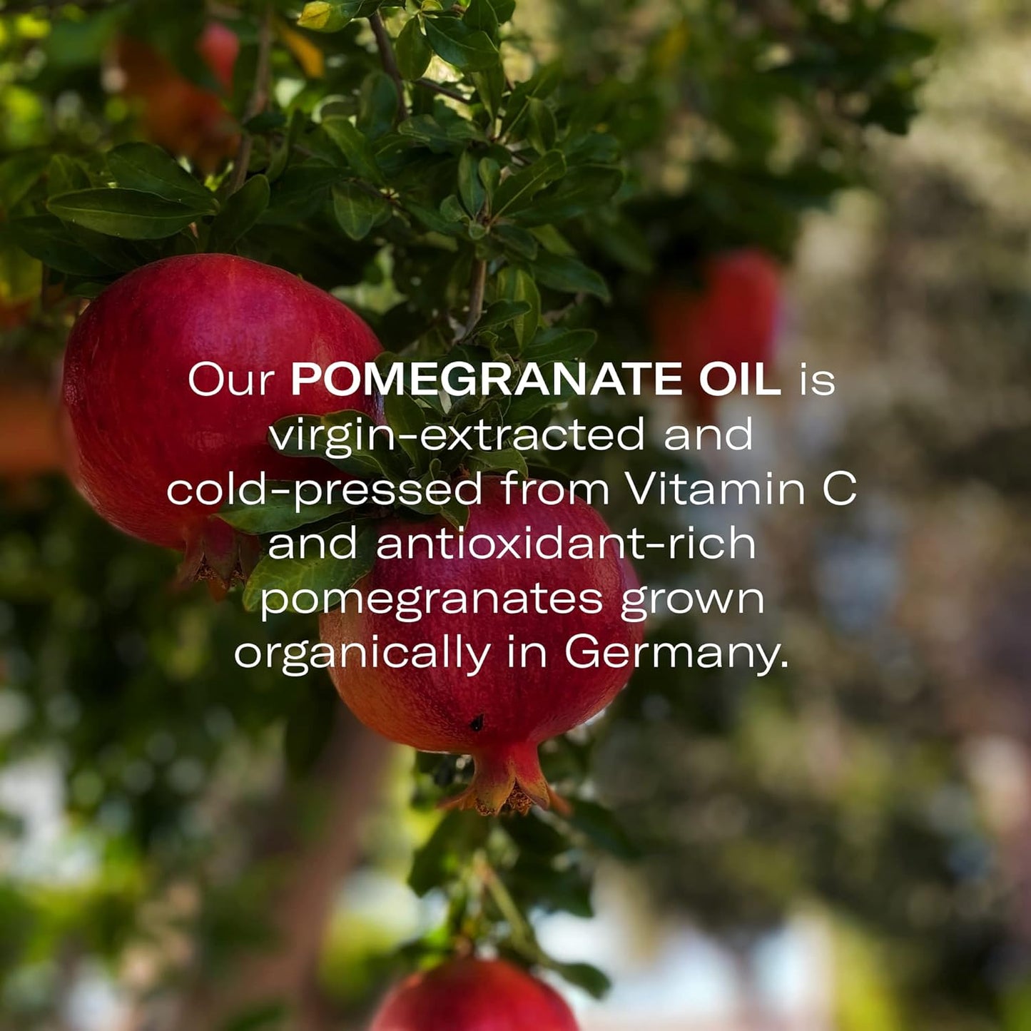 Odacité Hydrating Serum Concentrate with Pomegranate & Rose Geranium - for Hydration & Glow - Hydrating & Nourishing Anti-Aging Facial Oil Concentrate Enhance Skins Moisture Barrier - 0.17 fl. oz-GlimoraGlow